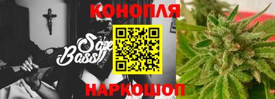 амф Гай