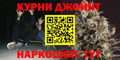 кокс Гатчина