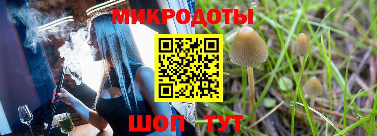 Псилоцибиновые грибы Cubensis  Галлюциногенные грибы мицелий  Вход с VPN  Губкин 